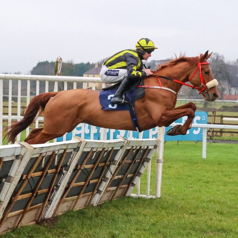 Follow Your Luck wins at Sedgefield